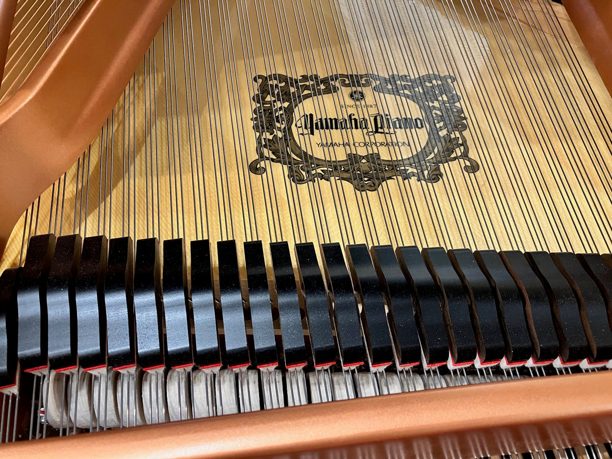 Yamaha C7X – Piano à queue professionnel d’exception