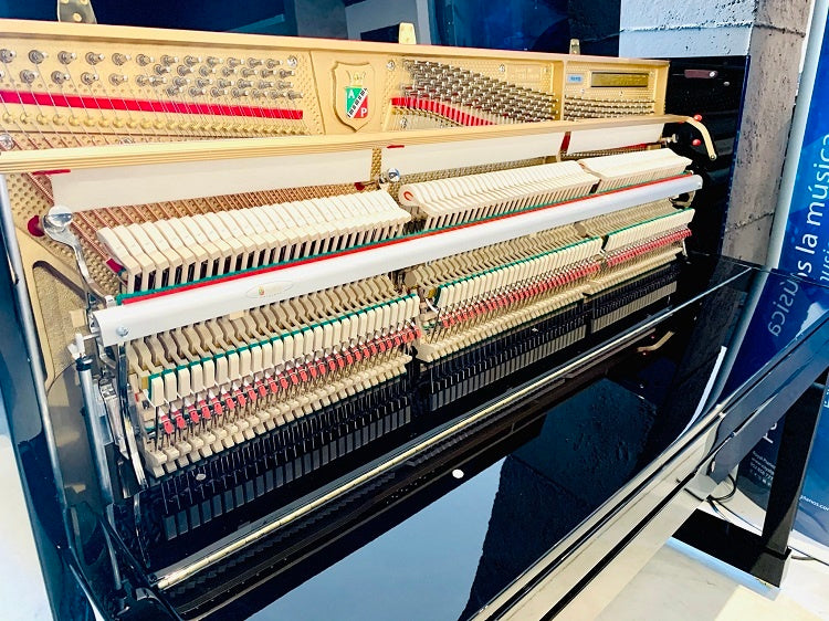 Petrof P118 M1 – Piano droit acoustique d’expression