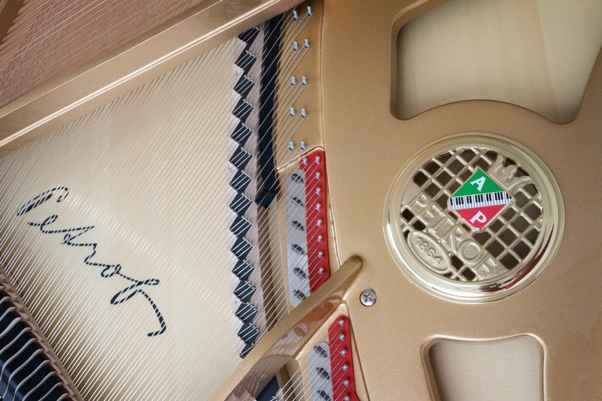 Petrof P173 Breeze – Piano à queue européen haut de gamme