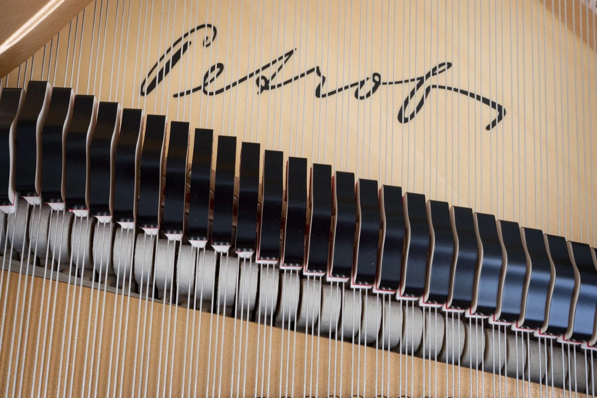 Petrof P173 Breeze – Piano à queue européen haut de gamme