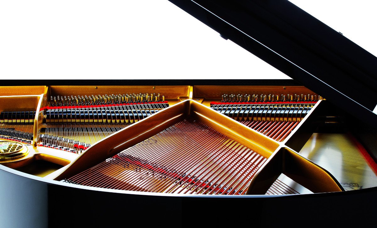 Petrof P173 Breeze – Piano à queue européen haut de gamme